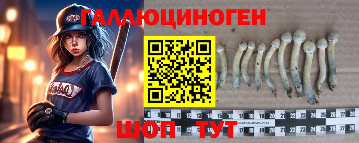 Галлюциногенные грибы Cubensis Коммунар